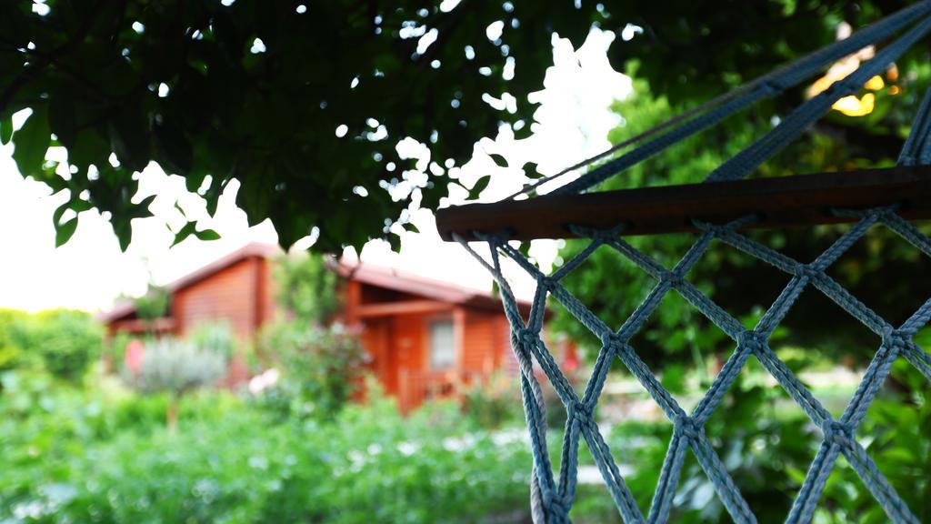 Hayitbuku Ahsapevleri ξενώνας Mesudiye  Εξωτερικό φωτογραφία