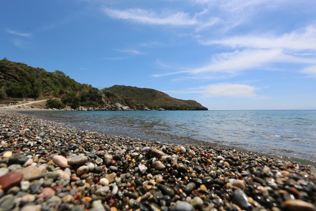 Hayitbuku Ahsapevleri ξενώνας Mesudiye  Εξωτερικό φωτογραφία